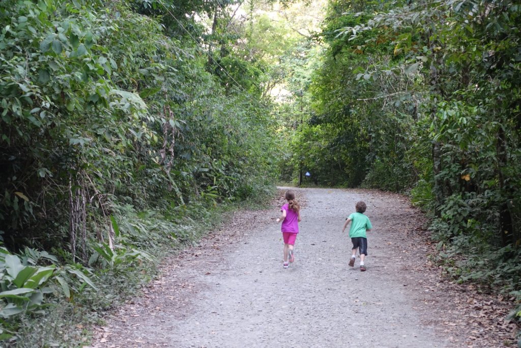 kids chasing a butterfly