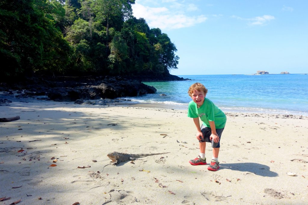 boy standing next to a giant iguana