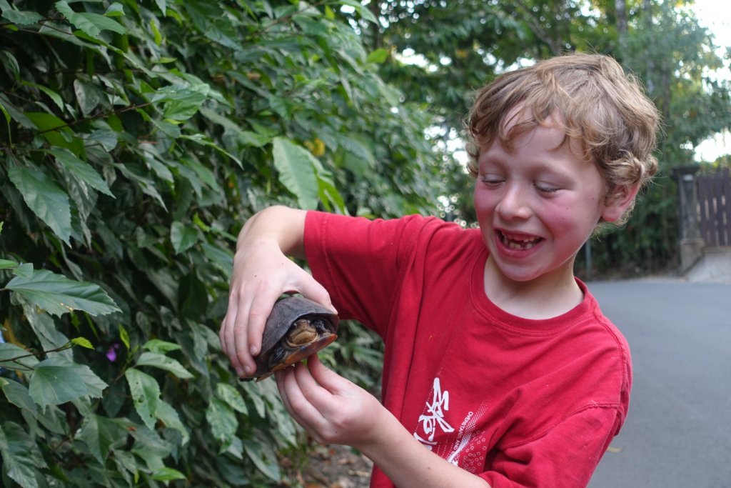 boy with a turtle