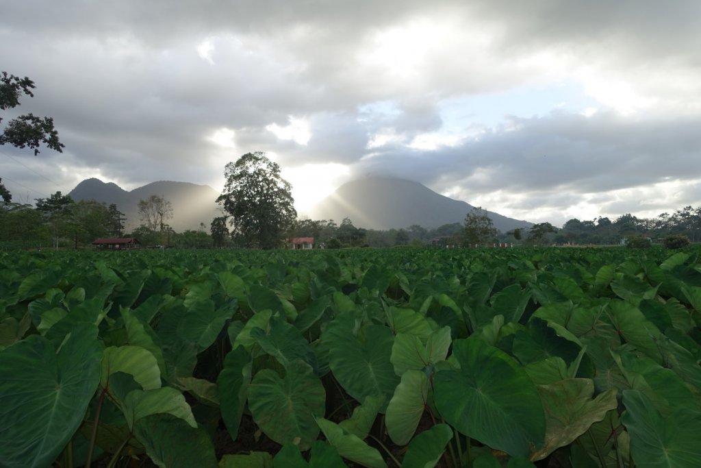 view of Arenal Volcano