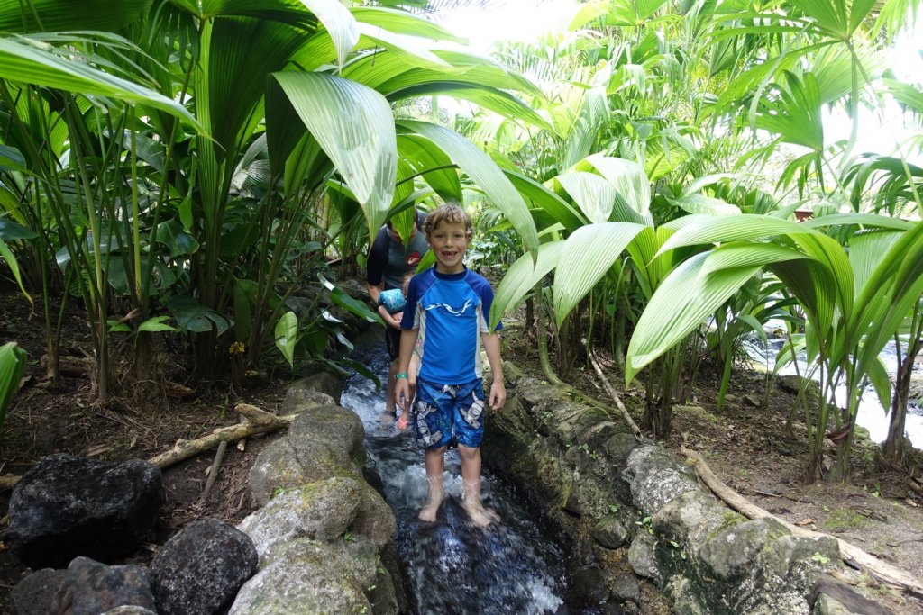 wading in the warm water at Tabacon Hot Springs