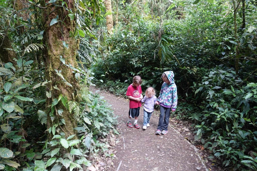 hiking in the cloud forest