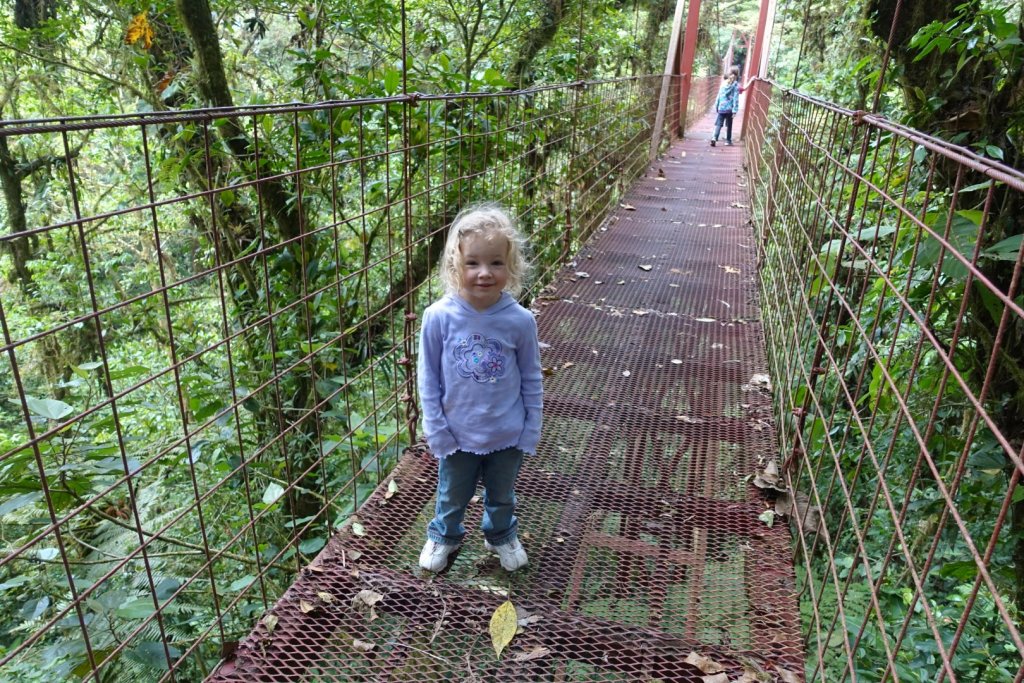 hanging bridge